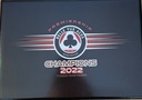 Programme Board - Champions Logo